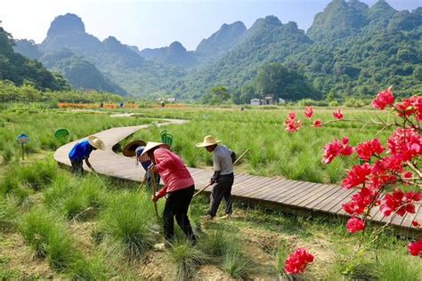 佛山哪裏有漂流的，話題延伸至佛山的自然美景與生態保護